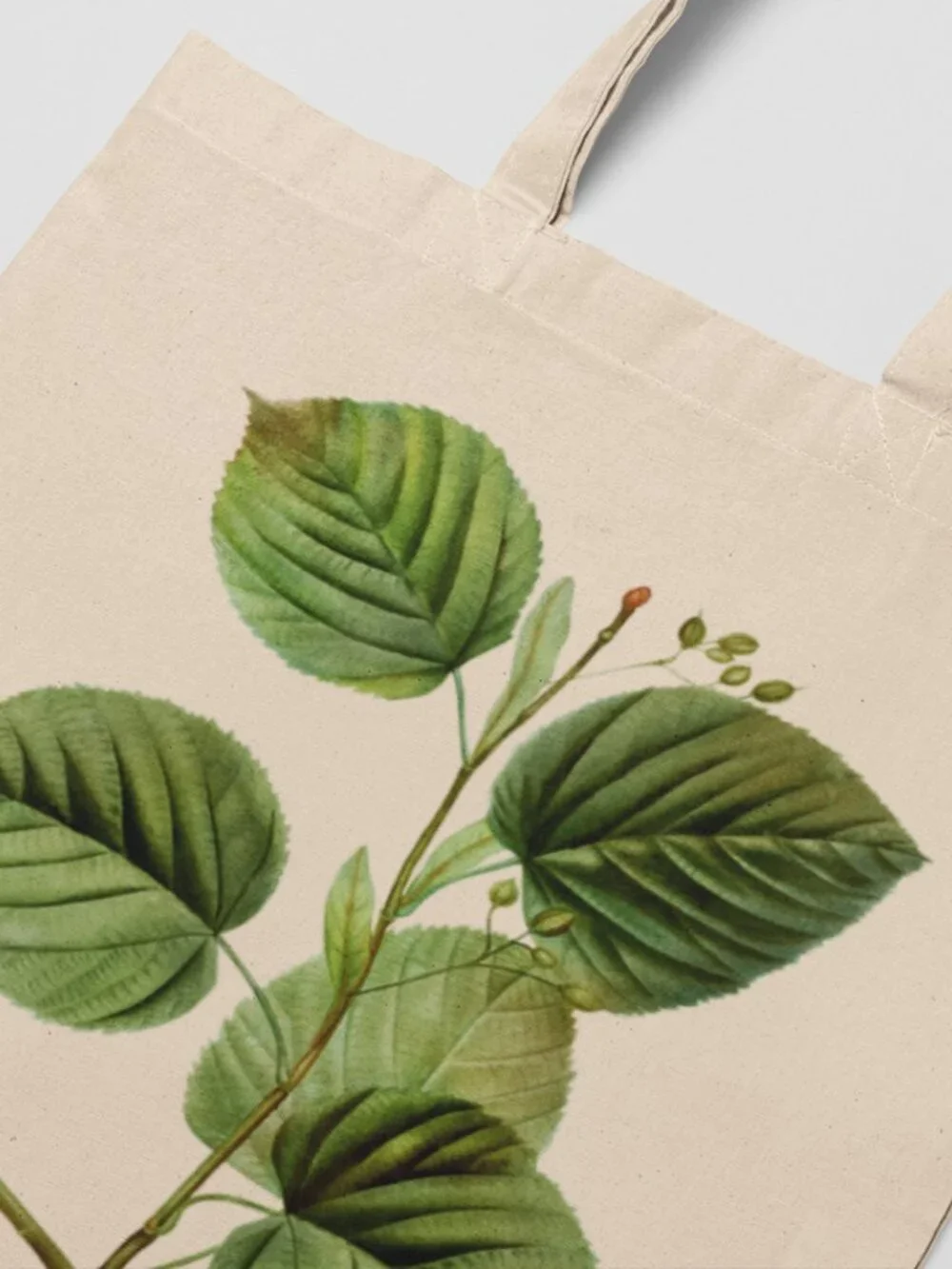 Largeleaf Linden Vintage Botanical Print Graphic Canvas Tote Bag